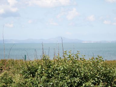 A view of water and mountains with bushes in the foreground at Goetra
