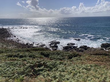 An ocean view with rocks and vegetation near the shore at Treovis Cottage Callington