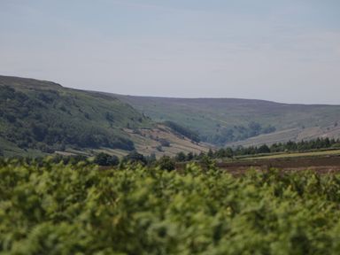 A landscape view of hills and valleys with trees at 2 Jade side, Malton