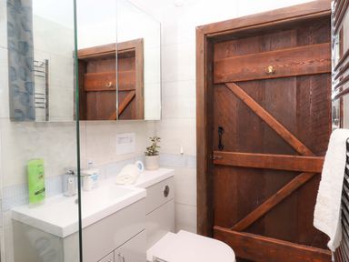 A bathroom with a sink and toilet at The Milking Shippon at Thorne, Langtree near Great Torrington