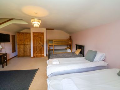 A bedroom with beds and a television at Millbarn in Crowcombe