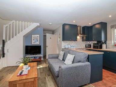 A living room with a sofa and television at Mayfly Lodge in St Tudy