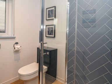 A bathroom featuring a shower, toilet, and sink at Mayfly Lodge in St Tudy
