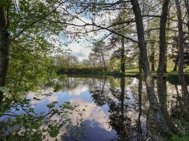 A serene pond surrounded by trees reflecting the sky at Mayfly Lodge St Tudy