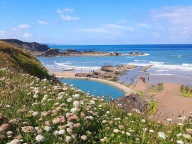 A beach scene with people and flowers at The Dairy in Bridgerule