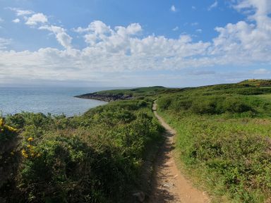 A path along the ocean with cliffs and vegetation at The Hideaway in Pwllheli