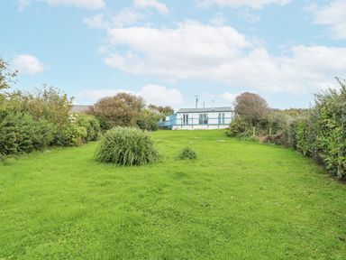 A garden with grass and bushes at Harbour Lights in Holyhead