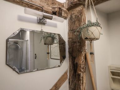 A bathroom with a mirror and hanging plant at The Old Post Box in Halesworth
