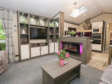 A living room with a television and fireplace at Feather Hill Lodge in Windermere