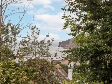 A view of cliffs and ocean with trees framing the scene at Mayflower View in Dawlish