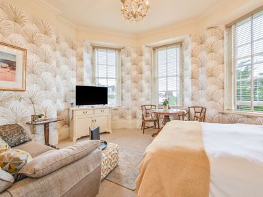 A studio with a sofa and a television at Muntham - Studio Apartment 7 in Torquay