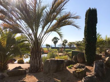 A landscape featuring palm trees and rocks near water at Muntham - Studio Apartment 7 Torquay