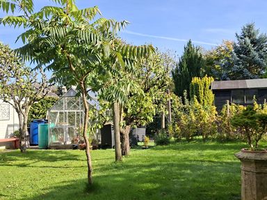 A garden with a greenhouse and trees at Apple Byrd in Kendal