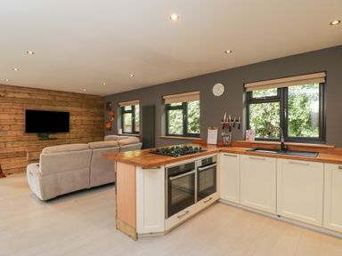 A kitchen with a stove and sofa at Willow Cottage in Whiteparish