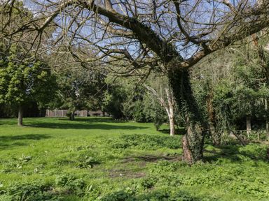 A green field with trees and a fence at Willow Cottage in Whiteparish