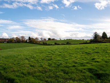 A field with grass and trees at Nature's Lodge Cookley