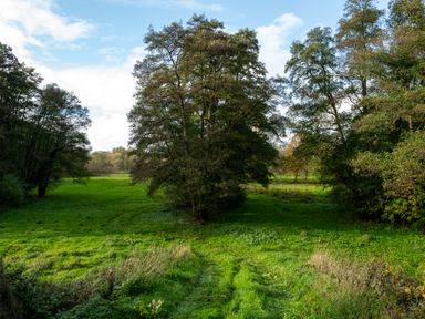 A field with trees and a path at Nature's Lodge in Cookley