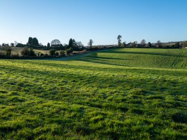A grassy field with trees and hills at Nature's Lodge in Cookley