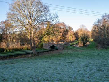 A bridge over water and trees in a grassy area at Nature's Lodge in Cookley