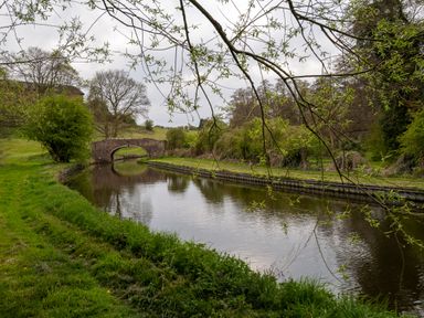 A canal with a bridge and trees at Nature's Lodge in Cookley