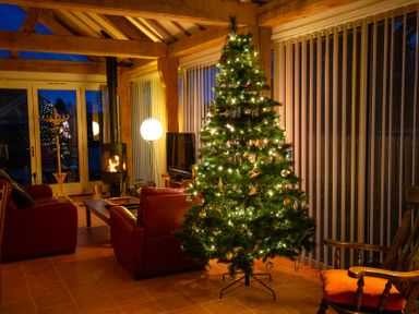 A living room with a Christmas tree and a wood stove at Nature's Lodge in Cookley