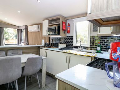A kitchen with a table and chairs at Wild Duck Holiday Park Belton, Norfolk