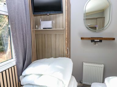 A bedroom with a television and mirror at Wild Duck Holiday Park in Belton, Norfolk