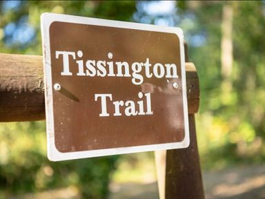a sign for Tissington Trail in a forested area at Ashbourne Heights Holiday Park - Holiday Accommodation 18103 Ashbourne