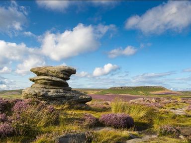 a rock formation with purple heather in the foreground and a hilly landscape under a cloudy sky at Ashbourne Heights Holiday Park - Holiday Accommodation 18103, Ashbourne