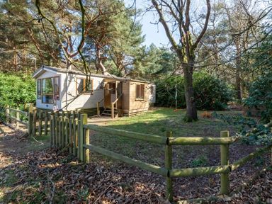 a wooden cabin surrounded by trees in a forested area at Kelling Heath Holiday Park - Holiday Accommodation 18663, Holt