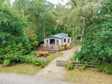 a holiday lodge surrounded by trees with a gravel path and outdoor seating at Kelling Heath Holiday Park - Holiday Accommodation 18664 in Holt