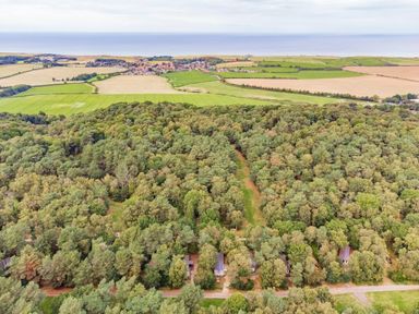 an aerial view of a wooded area with fields and the sea in the background at Kelling Heath Holiday Park - Holiday Accommodation 18664, Holt