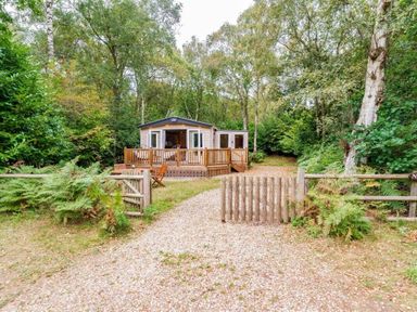 a holiday bungalow surrounded by trees at Kelling Heath Holiday Park - Holiday Accommodation 18664 in Holt