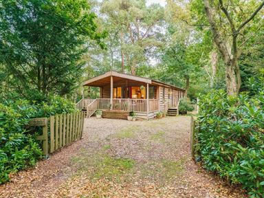 a wooden cabin surrounded by trees and shrubs at Kelling Heath Holiday Park - Holiday Accommodation 18691, Holt