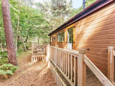 a wooden cabin exterior with a deck in a forested area at Kelling Heath Holiday Park - Holiday Accommodation 20952 in Weybourne