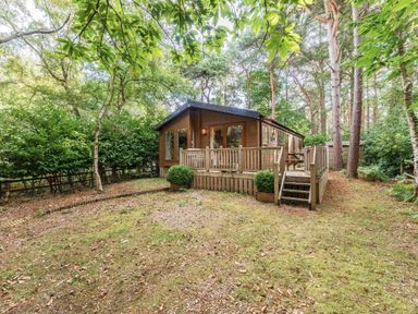 a wooden cabin surrounded by trees and shrubbery at Kelling Heath Holiday Park - Holiday Accommodation 20952 in Weybourne