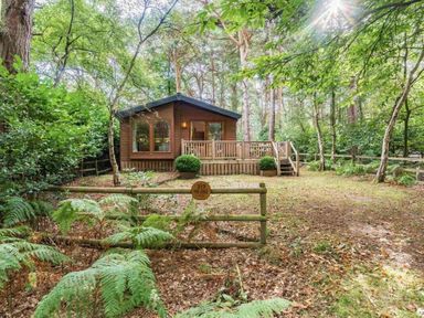 a wooden cabin surrounded by trees at Kelling Heath Holiday Park - Holiday Accommodation 20952 Weybourne