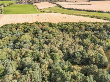 an aerial view of a wooded area bordered by fields at Kelling Heath Holiday Park - Holiday Accommodation 20952 Weybourne