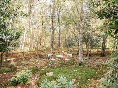 a small outdoor seating area with two white chairs and a table surrounded by trees at Kelling Heath Holiday Park - Holiday Accommodation 20958 Weybourne