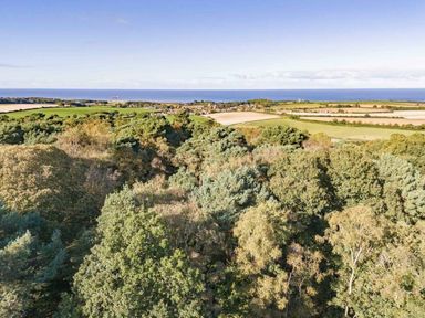 a panoramic view of trees and fields leading to the sea at Kelling Heath Holiday Park - Holiday Accommodation 20958 Weybourne