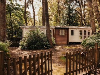 a cabin surrounded by trees and greenery at Kelling Heath Holiday Park - Holiday Accommodation 21026 in Kelling Heath