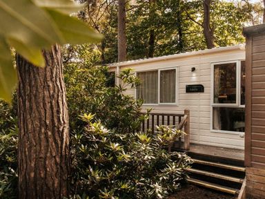 a holiday accommodation surrounded by trees at Kelling Heath Holiday Park - Holiday Accommodation 21026, Kelling Heath
