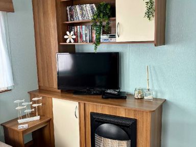 a TV unit with a television, shelves of DVDs, and decorative plants at Valley Farm Holiday Park - Holiday Accommodation 22153 in Clacton-on-Sea