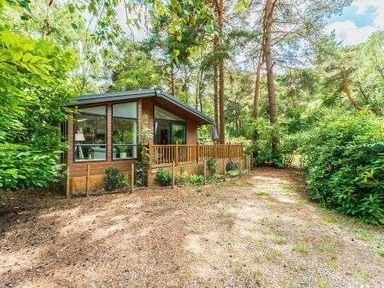 a cabin surrounded by trees and shrubs at Kelling Heath Holiday Park - Holiday Accommodation 22249 in Holt