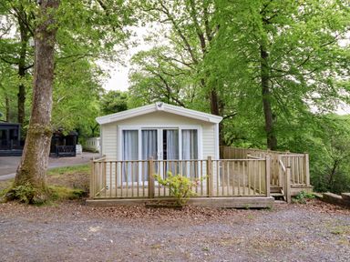 A cabin with decking surrounded by trees at 145 Woodside View in Porthmadog