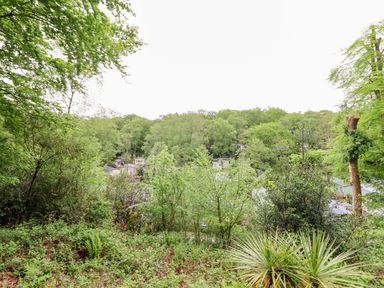 A view of trees and houses at 145 Woodside View in Porthmadog