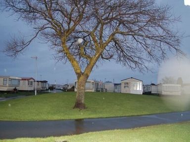 a tree in a grassy area with several holiday caravans in the background at Edwards Leisure Park - Holiday Accommodation 318 in Towyn