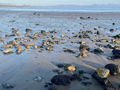 a rocky shoreline with scattered stones and tidal patterns at Hafan y Mor Haven - Holiday Accommodation 7421 Pwllheli