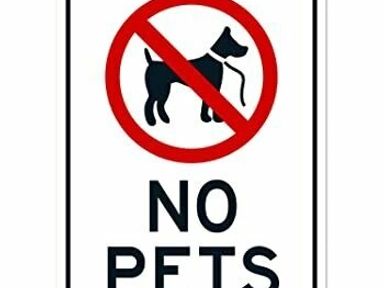 a sign with a graphic of a dog and text stating no pets allowed at Hafan y Mor Haven - Holiday Accommodation 7421, Pwllheli