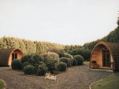 Two wooden cabins surrounded by bushes and a pathway at Garden Pod in Waltham